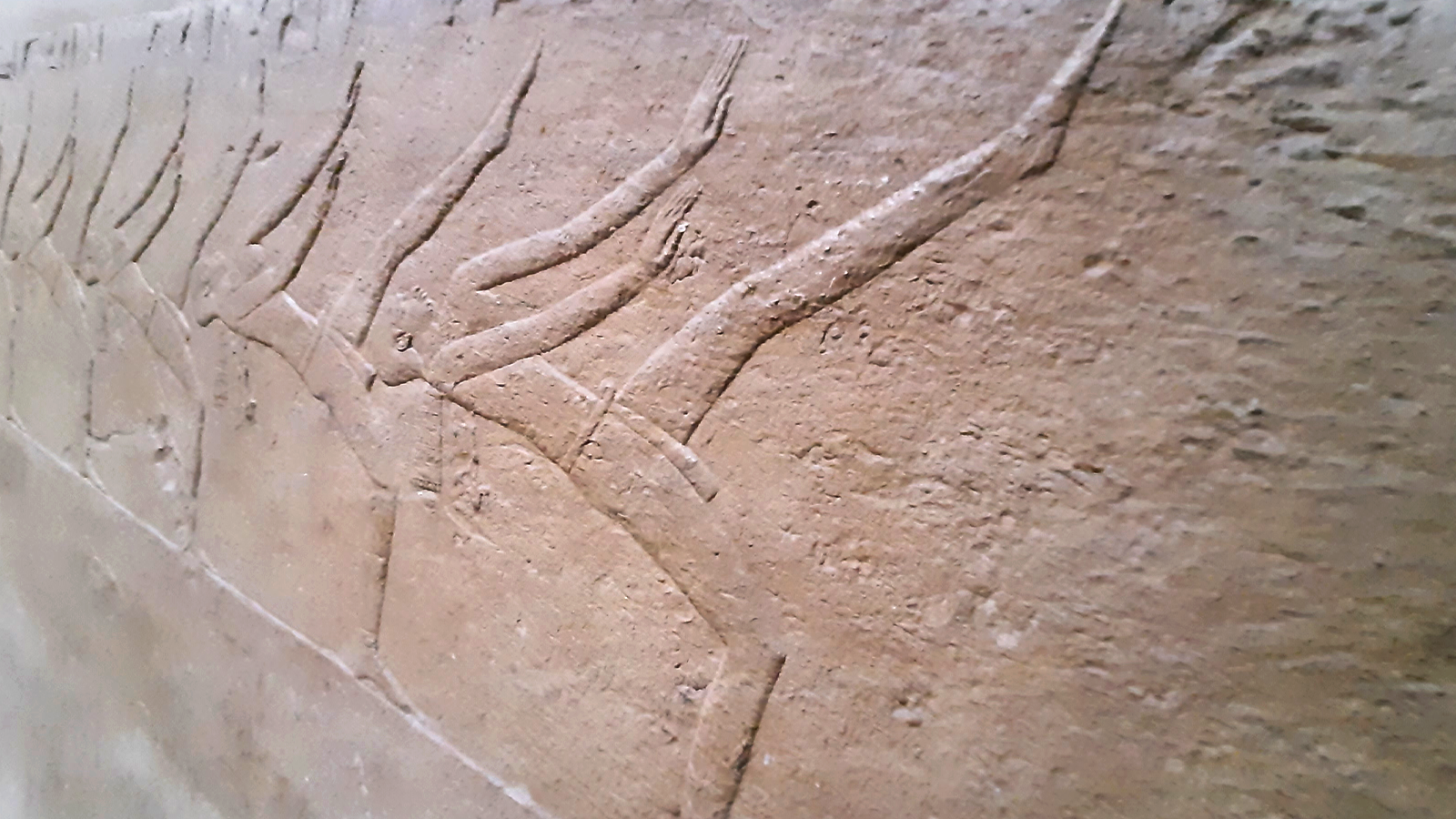 Half Day Tour To Saqqara