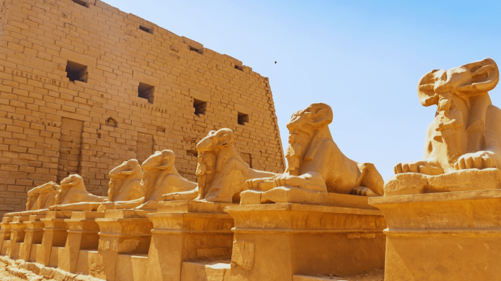 9 Days Luxury Tour in Cairo, Luxor, Sharm El Sheikh