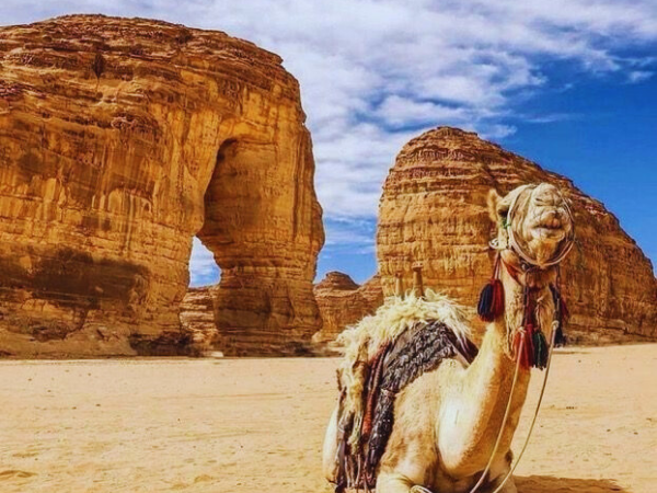 Family Journey Through Time In Egypt