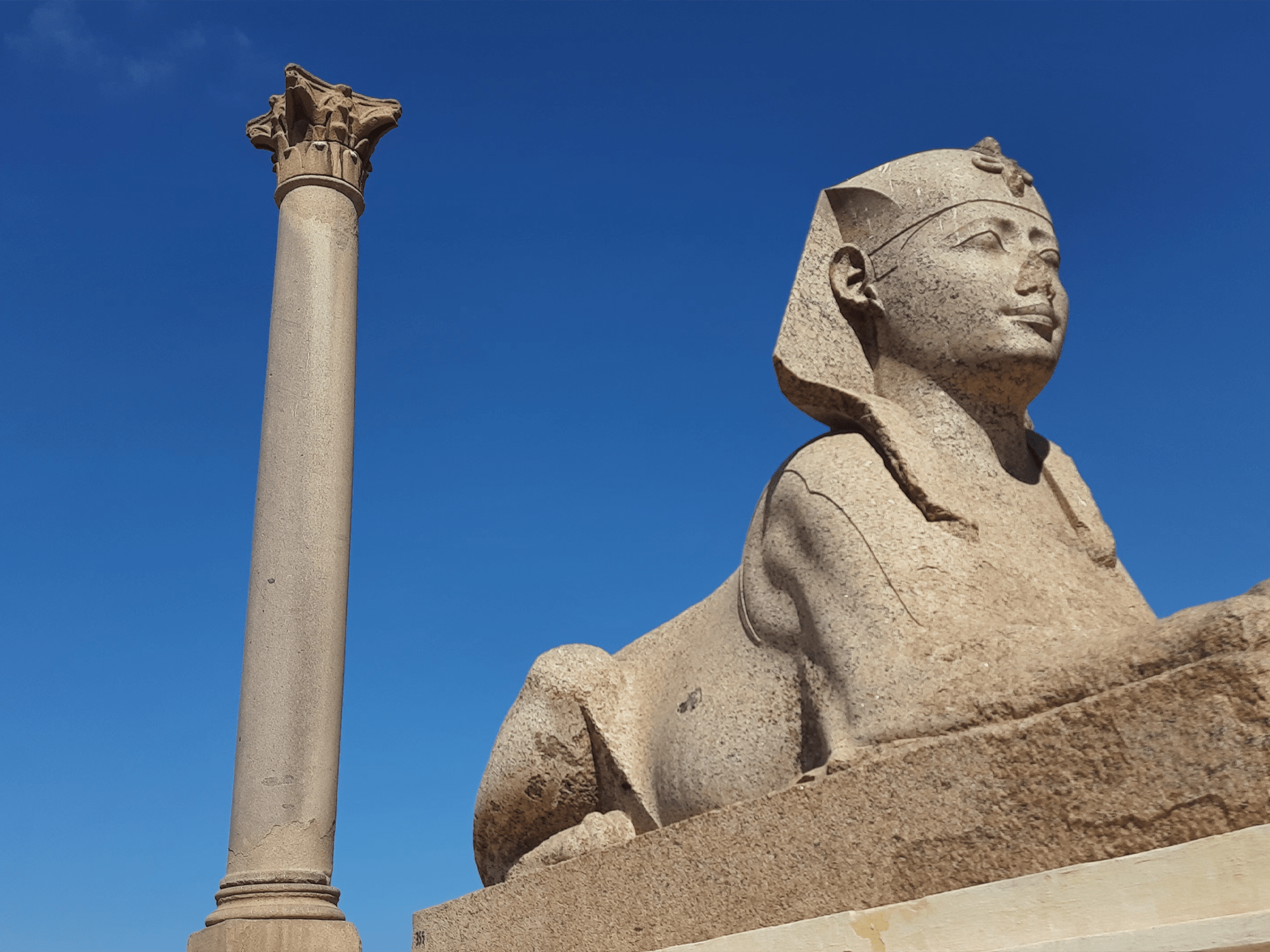 A Day Tour from Cairo to Alexandria