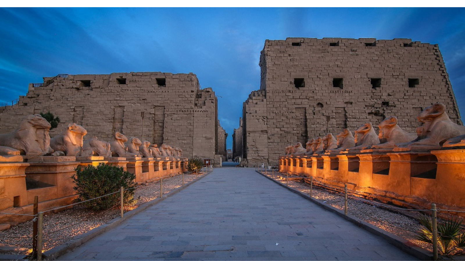 Treasures of the Nile and Red Sea