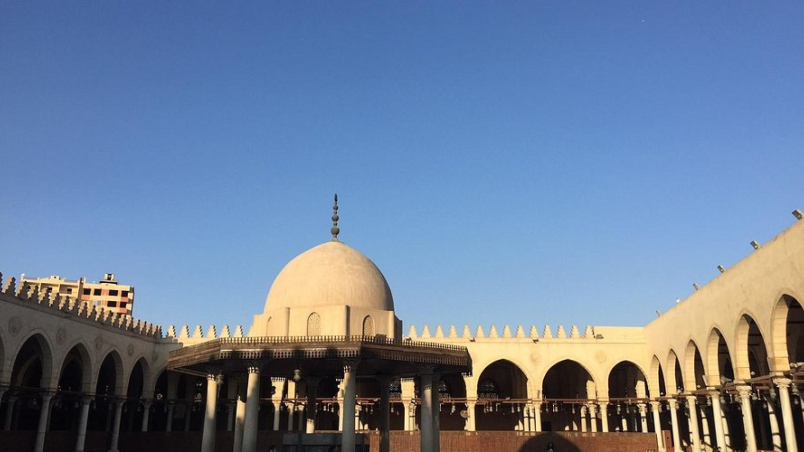 A Day Tour To The Egyptian Museum, Citadel of Saladin, Coptic Cairo