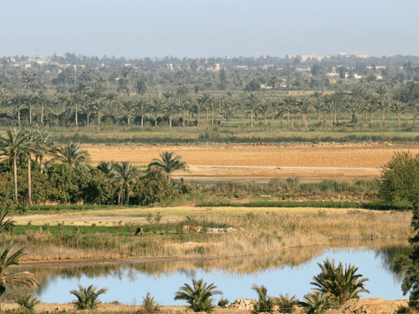 Day Tour to Tanis (Land of Gosen) from Cairo