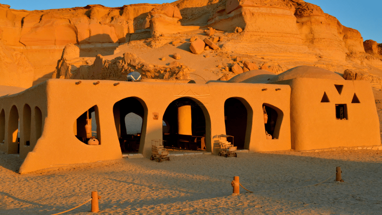 A Day Tour From Cairo To Al Fayoum , Wadi Al Rayan and Wadi Hitan