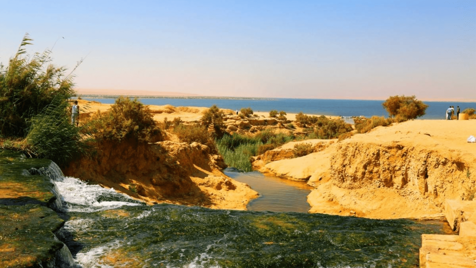 A Day Tour From Cairo To Al Fayoum , Wadi Al Rayan and Wadi Hitan