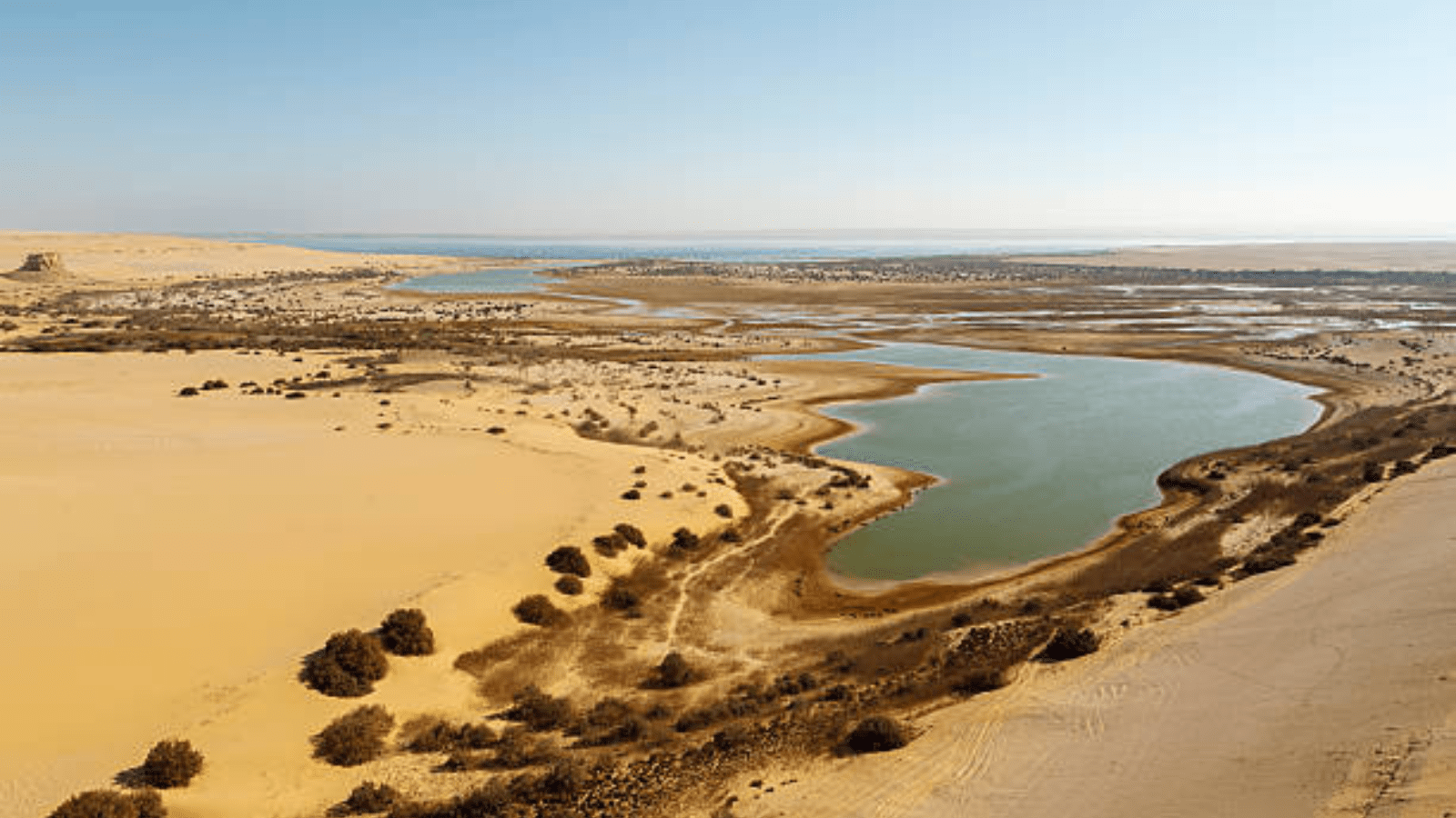 A Day Tour From Cairo To Al Fayoum , Wadi Al Rayan and Wadi Hitan