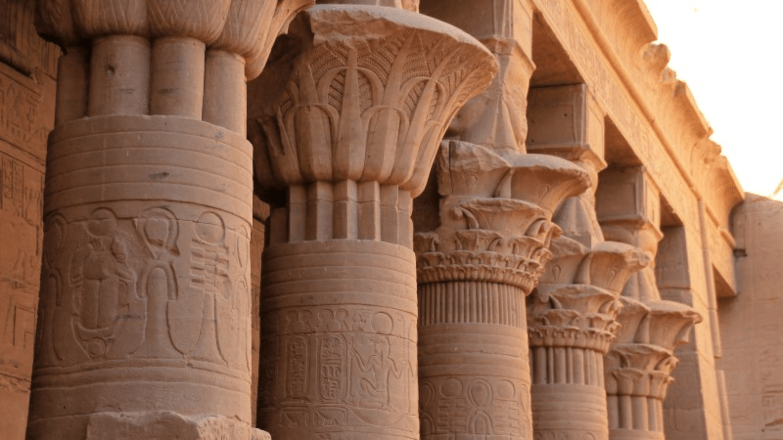 Day Tour from Luxor To Dendera and Abydos