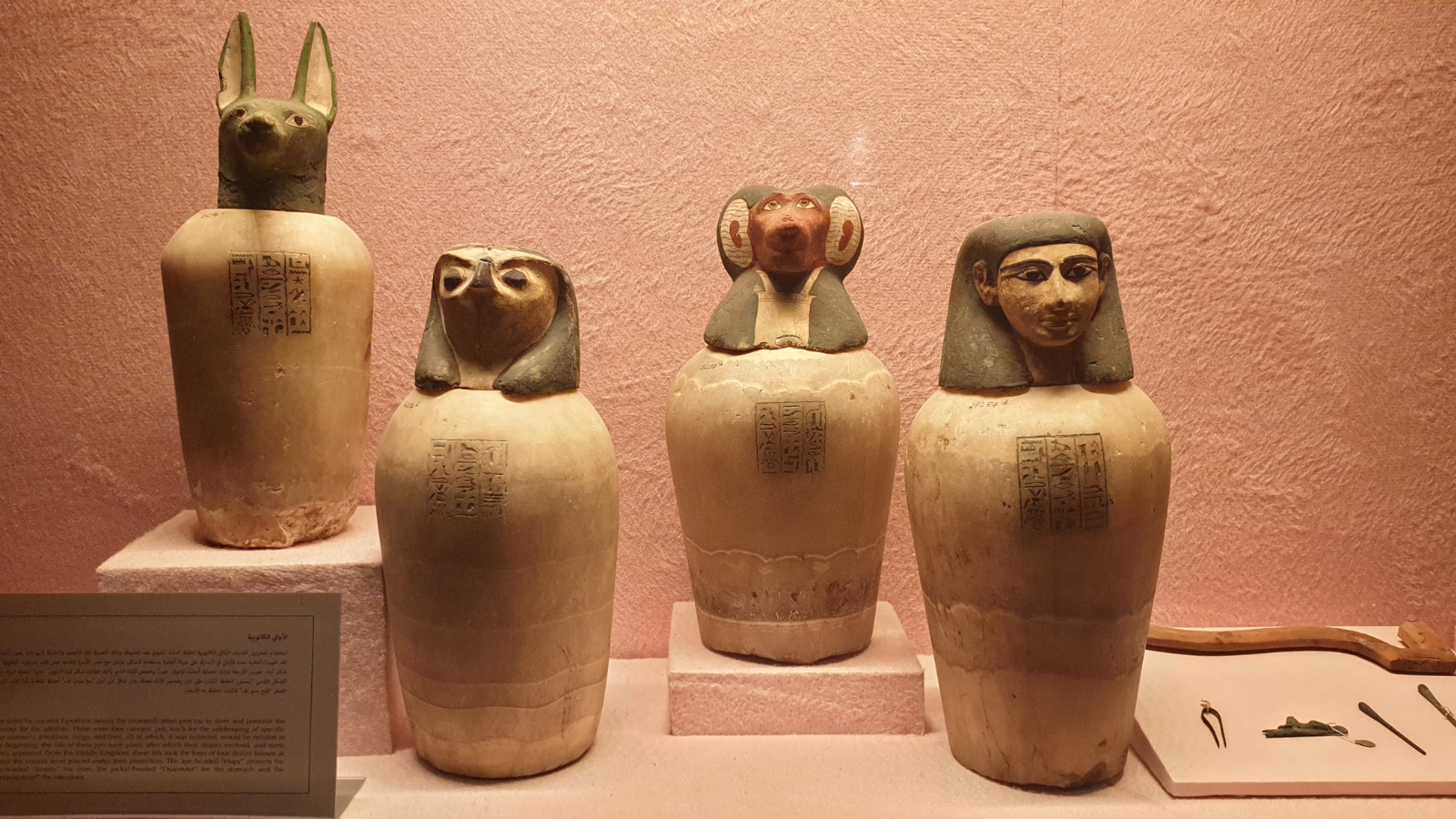 Day Tour from Sharm el Sheikh To Cairo by Bus