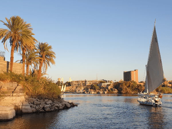 Day Tour Aswan Main Sites