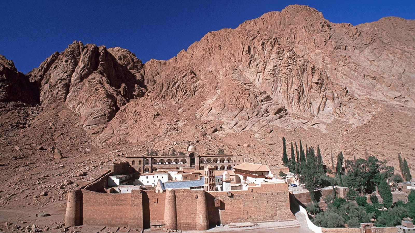 Mount Sinai Adventure from Sharm El Sheikh