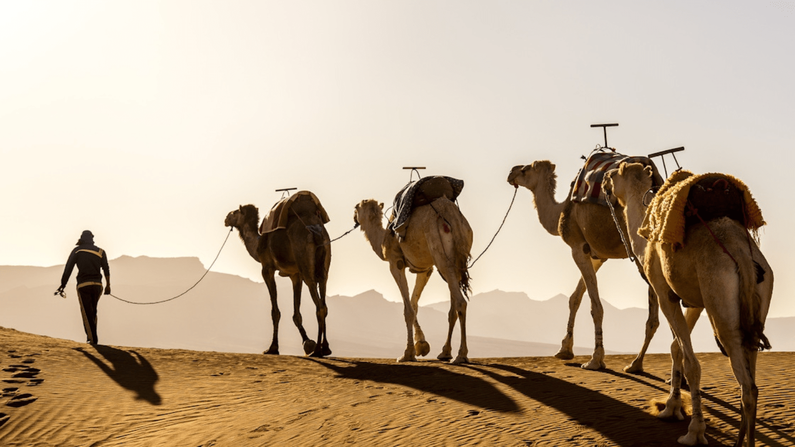 Day Tour Exploring Hurghada Activities