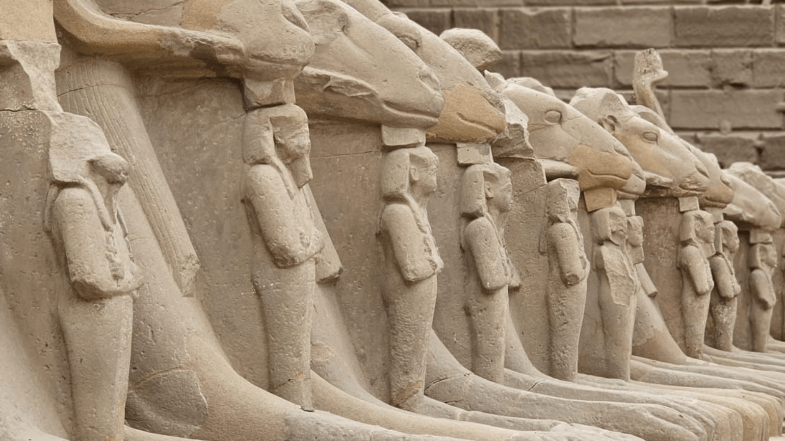 7 Days tour package in Egypt.