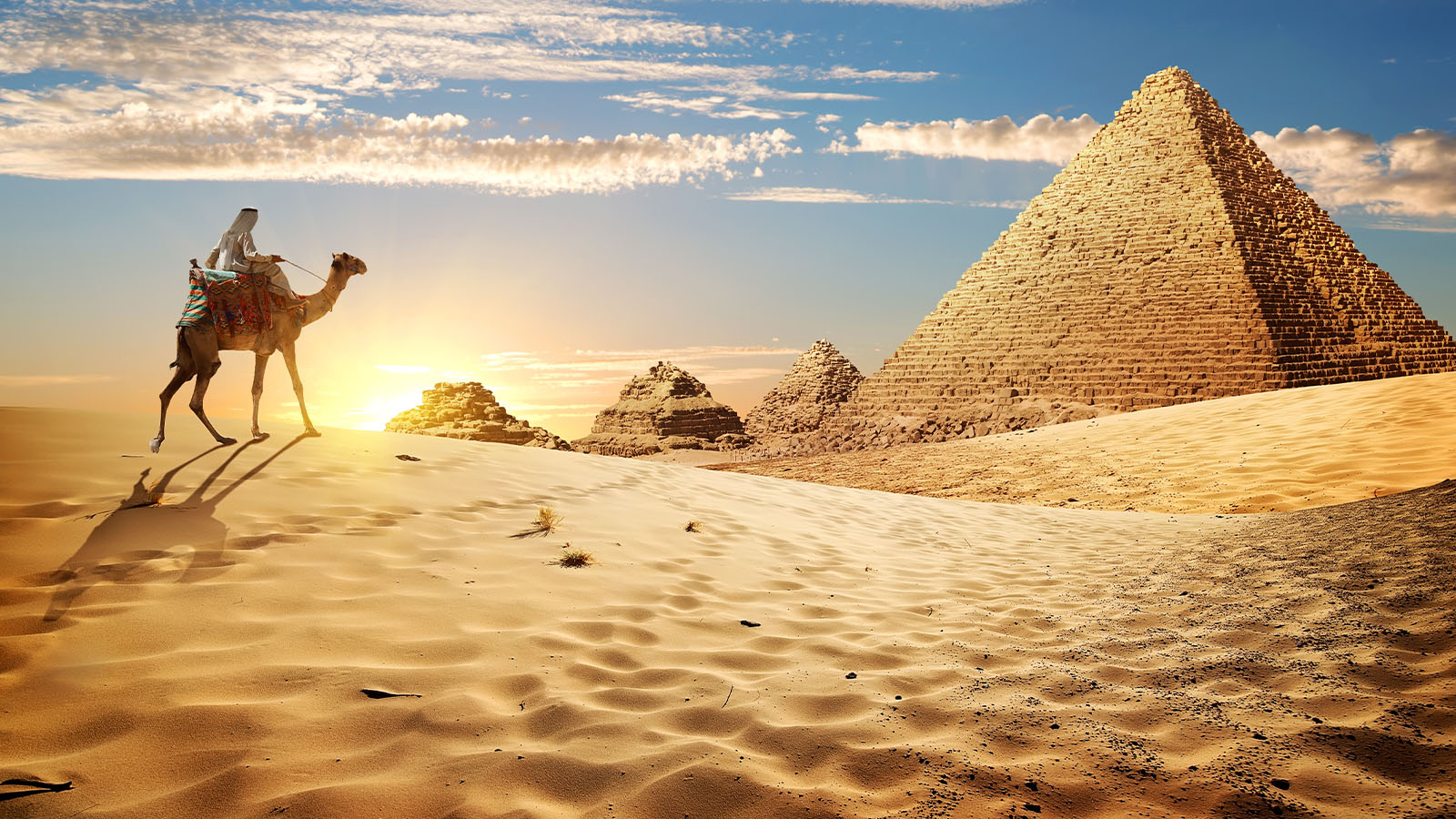 The grand Egyptian museum and the Pyramids of Giza tour