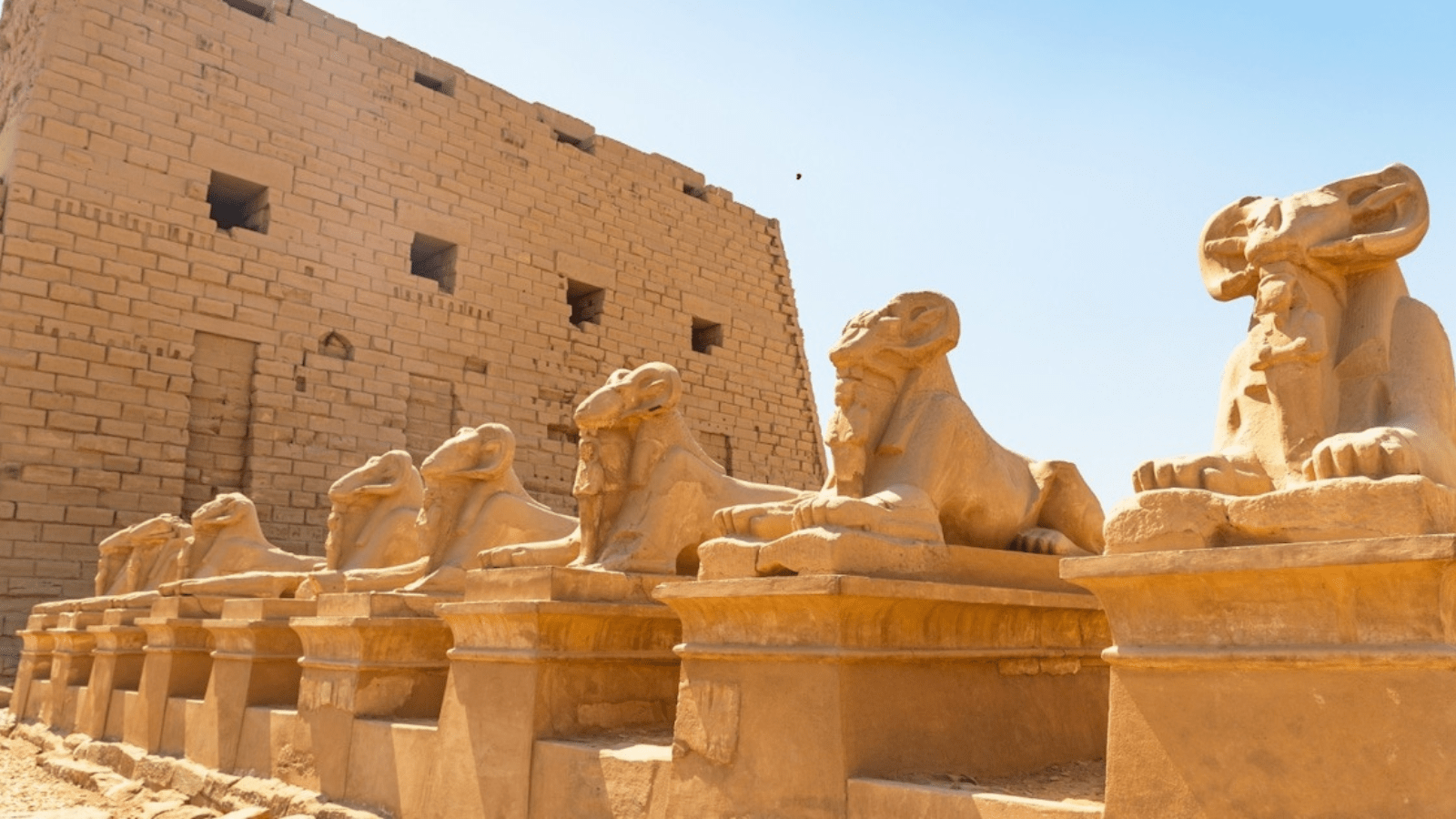 7 Days Egypt Adventure Vacation