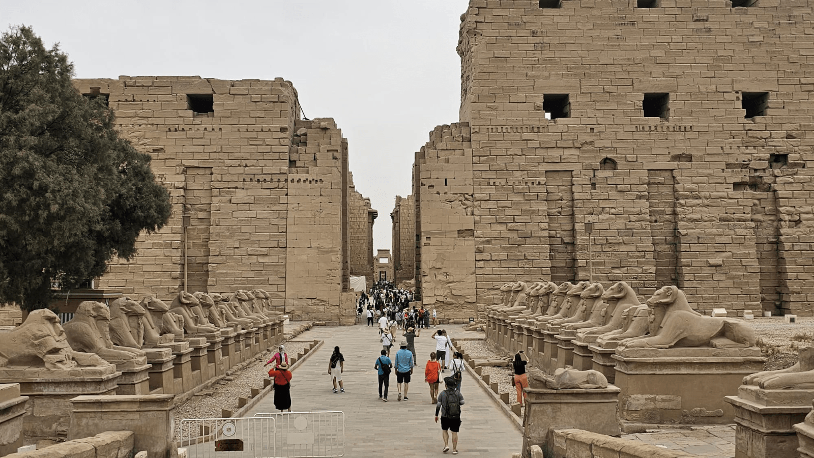 A Day of Royal Temples and Tombs