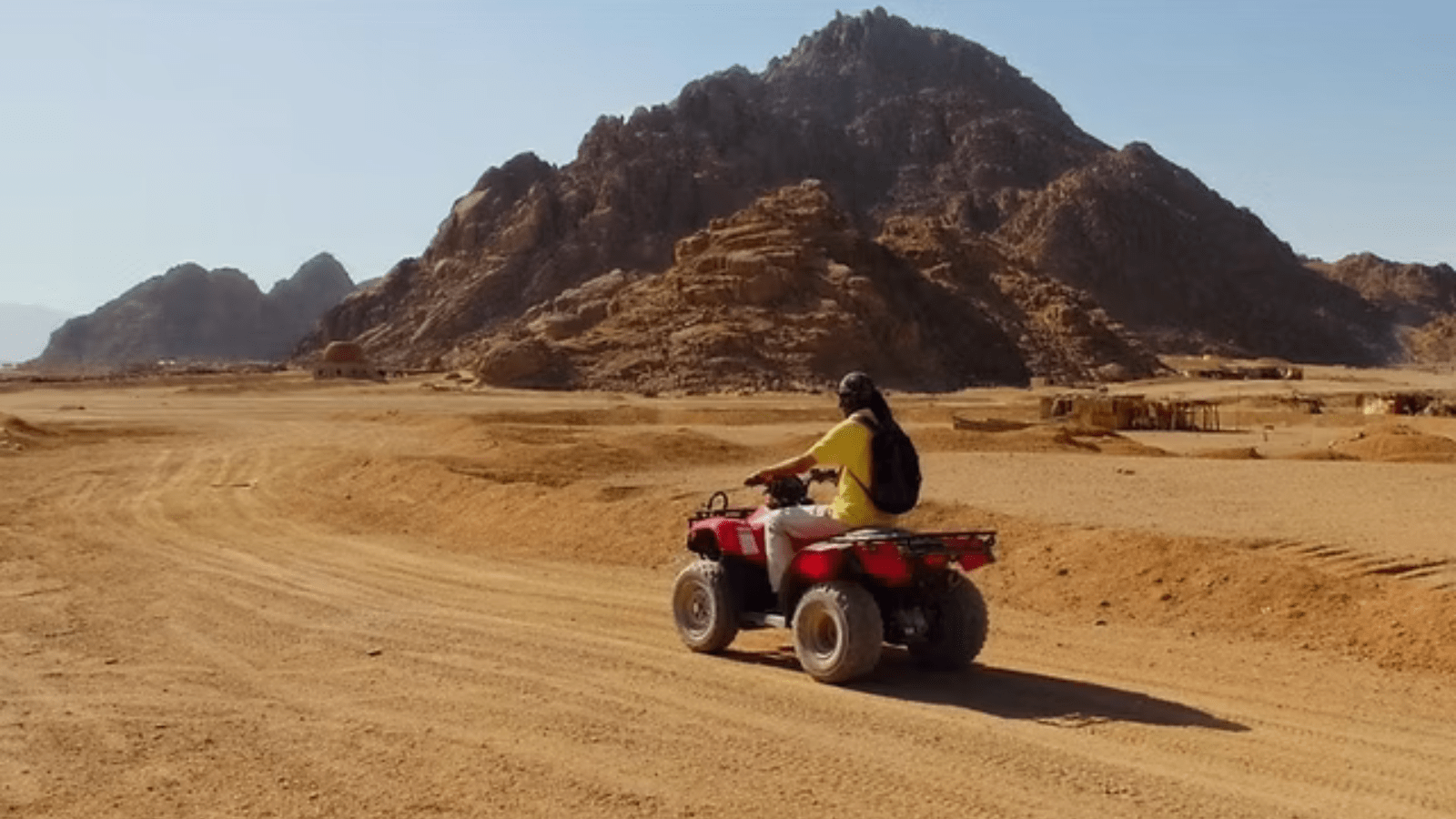 Half Day Tour Car Buggy