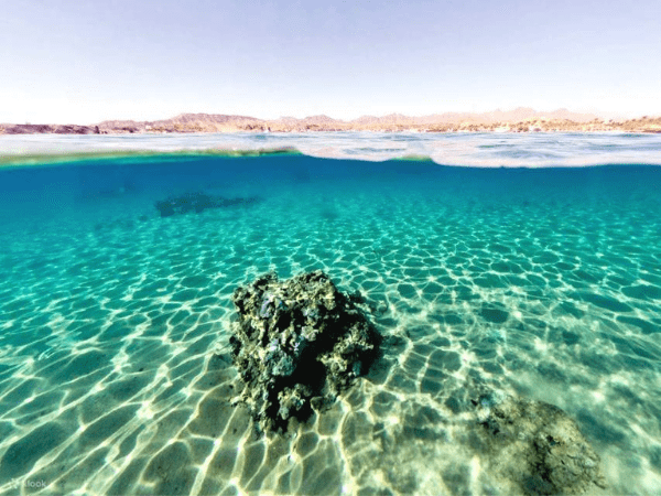 A Day Tour Snorkeling at Mahmya Island