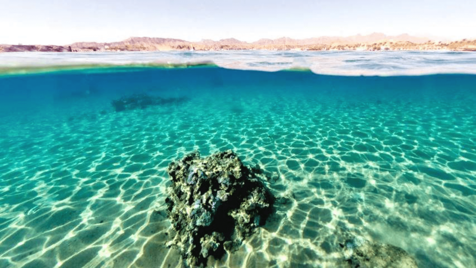 A Day Tour Snorkeling at Mahmya Island