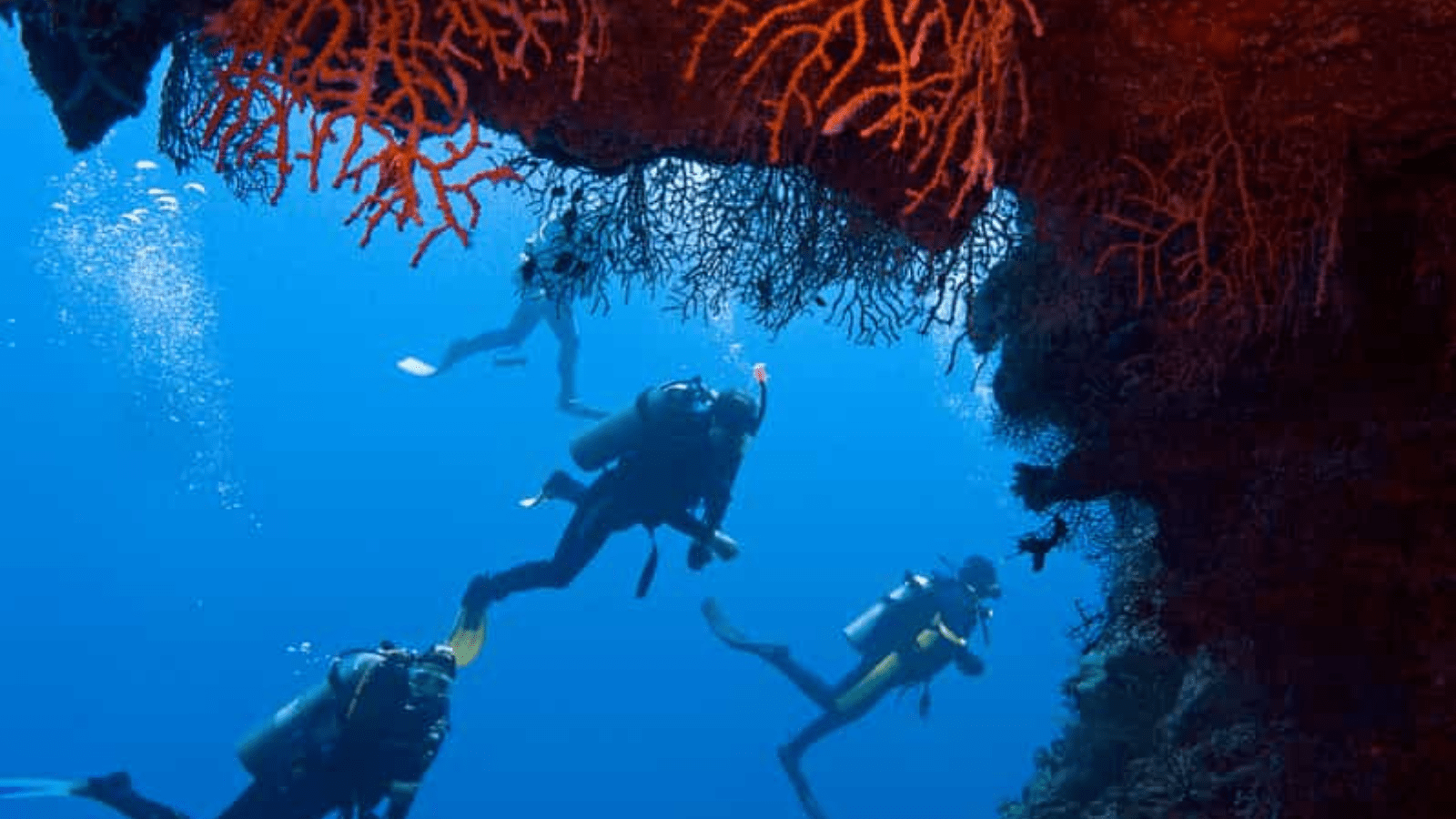 Day Tour In Orange Island