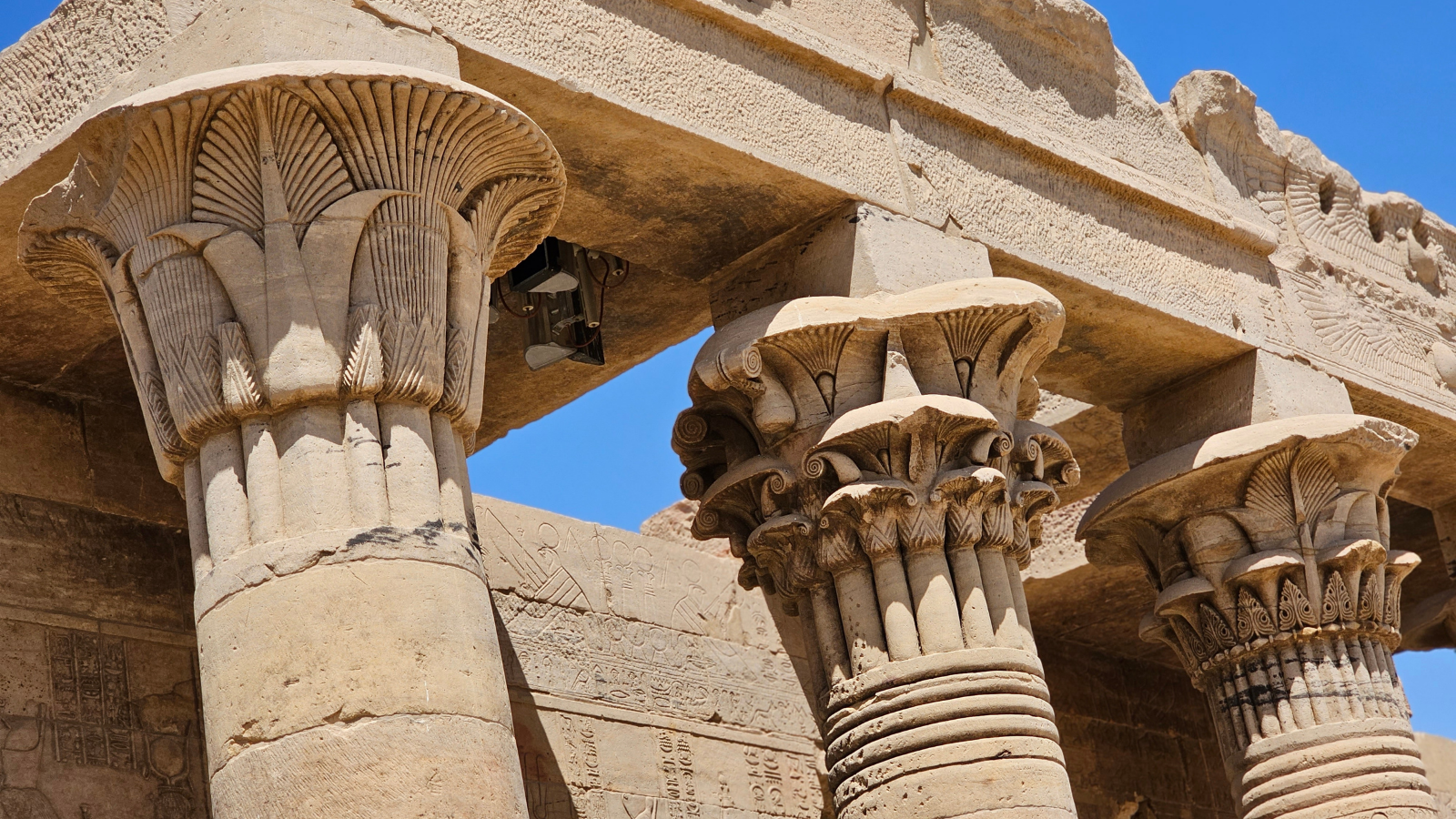Day Tour In Aswan Wonders