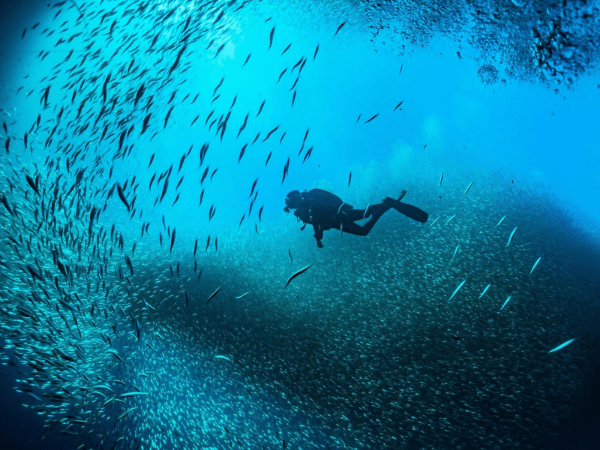 Snorkeling