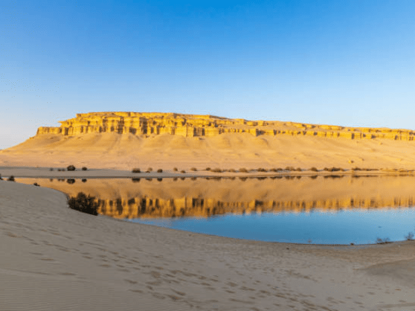 Optional Tour In Qarun Lake