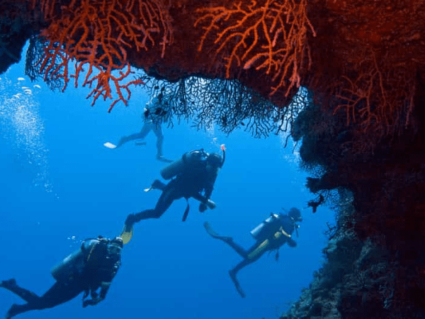 Snorkeling