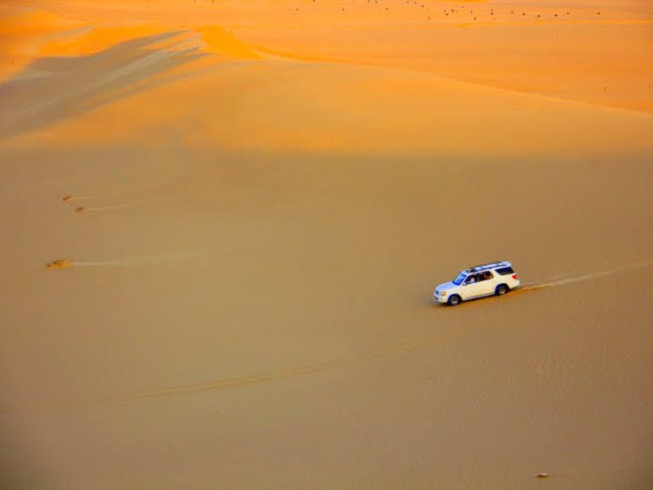 Safari by 4X4 Jeep