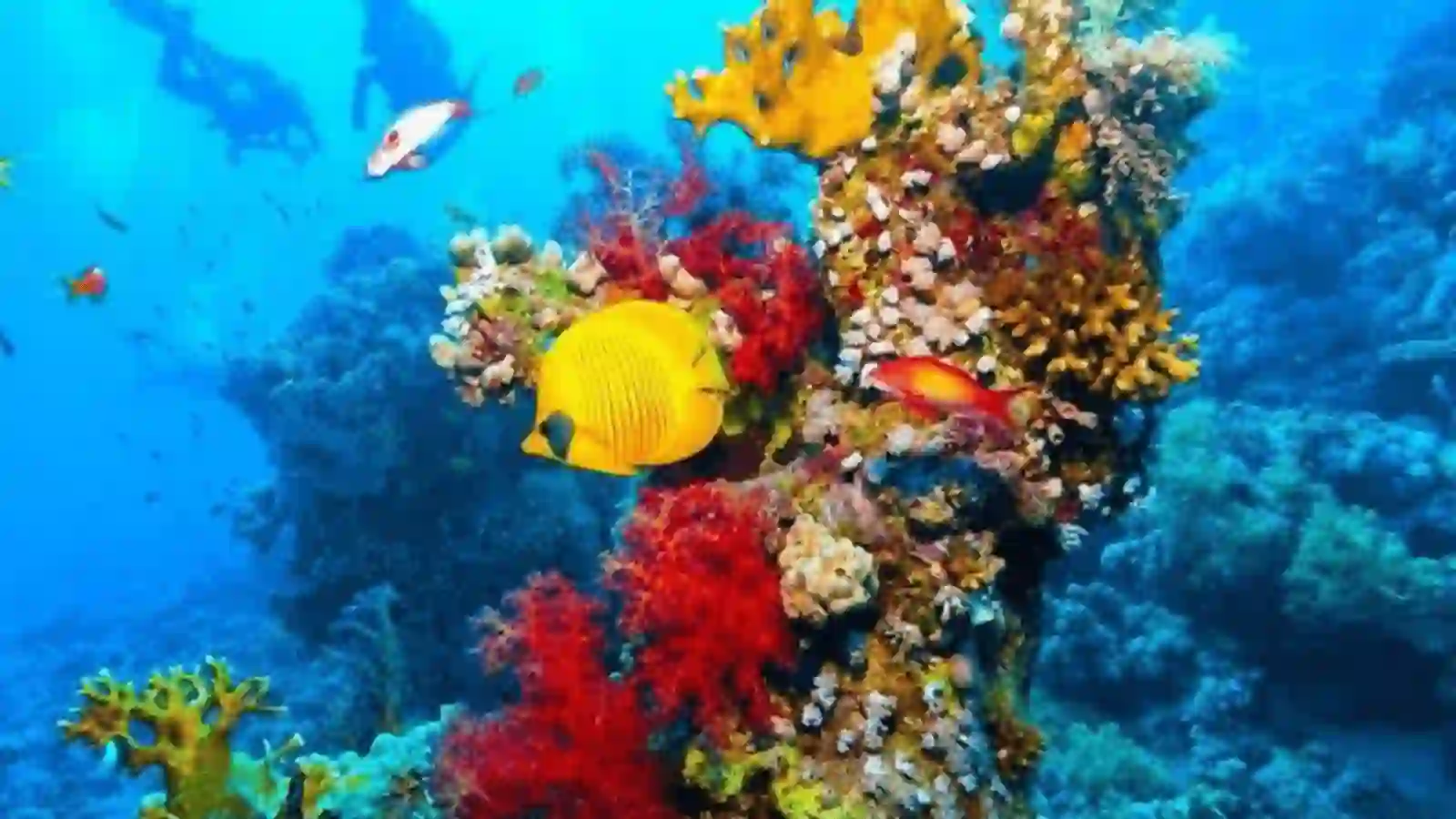 Sharm El Sheikh Day Tour