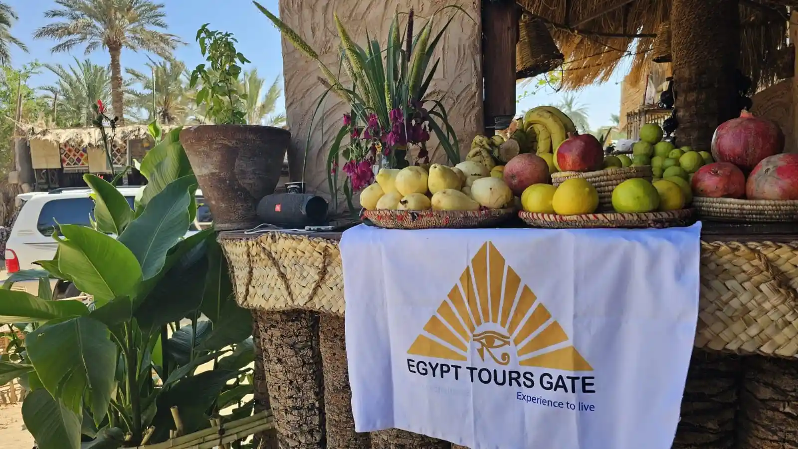 Christmas and New Year Tours
