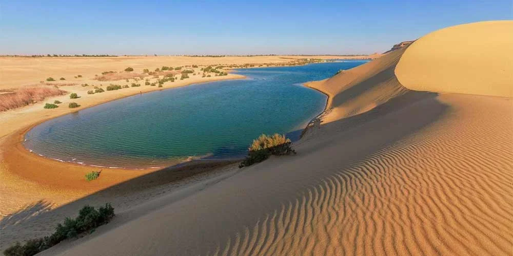 A Day Tour From Cairo To Al Fayoum , Wadi Al Rayan and Wadi Hitan