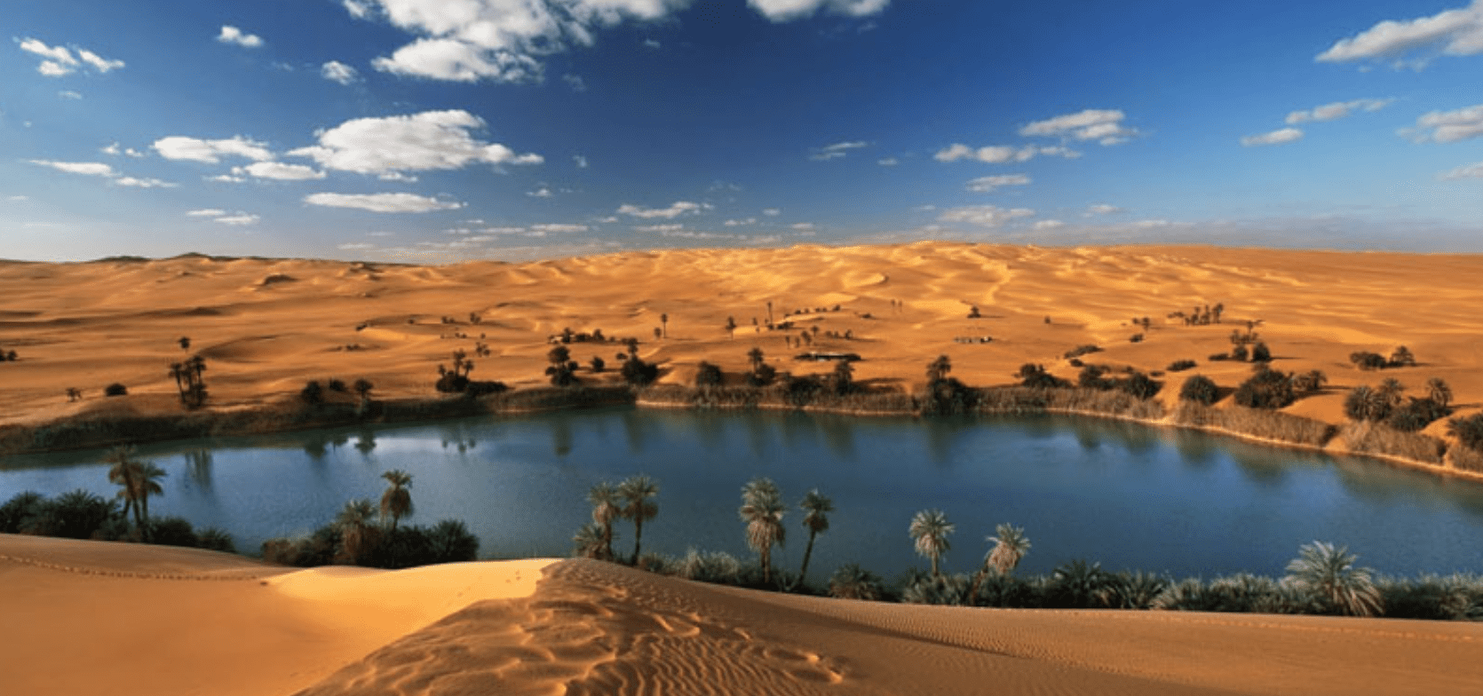 A Day Tour From Cairo To Al Fayoum , Wadi Al Rayan and Wadi Hitan