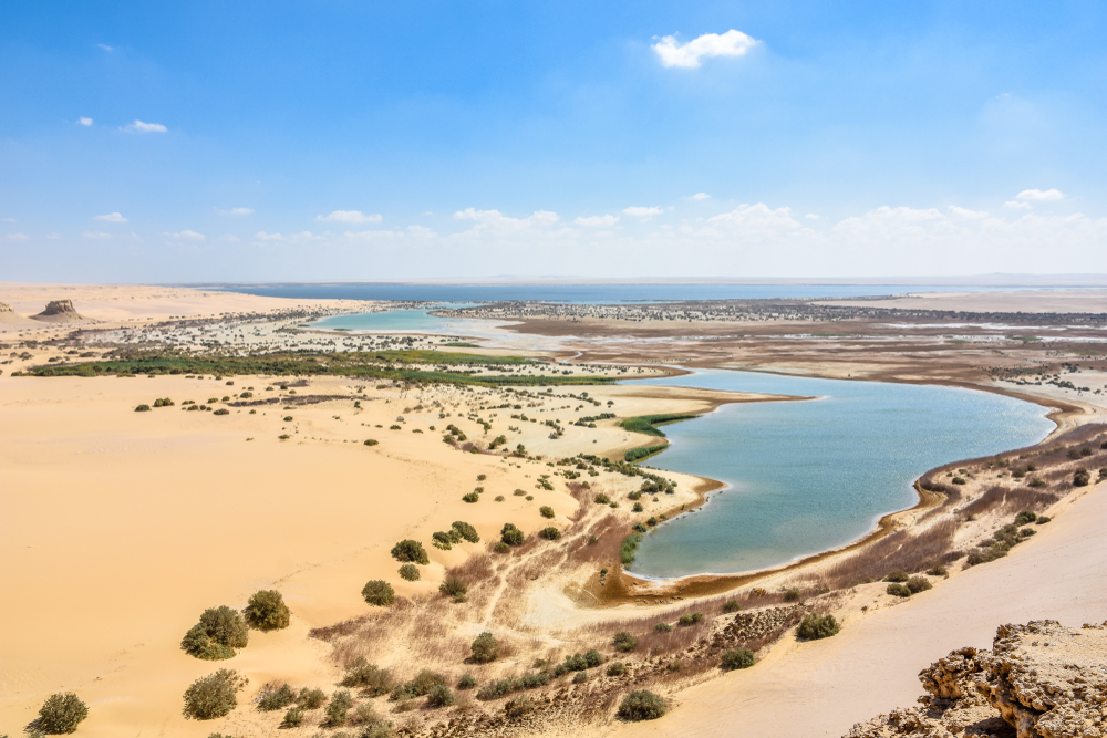 Private Fayoum Tour