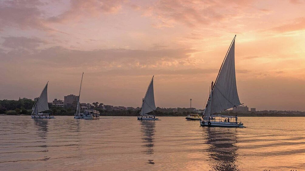 Private Day Tour from Sharm el Sheikh To Cairo by Plane