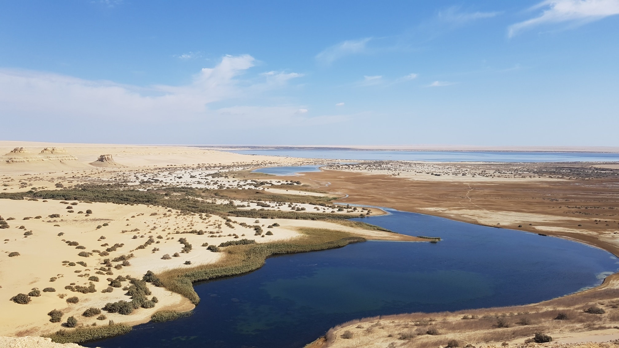 A Day Tour From Cairo To Al Fayoum , Wadi Al Rayan and Wadi Hitan