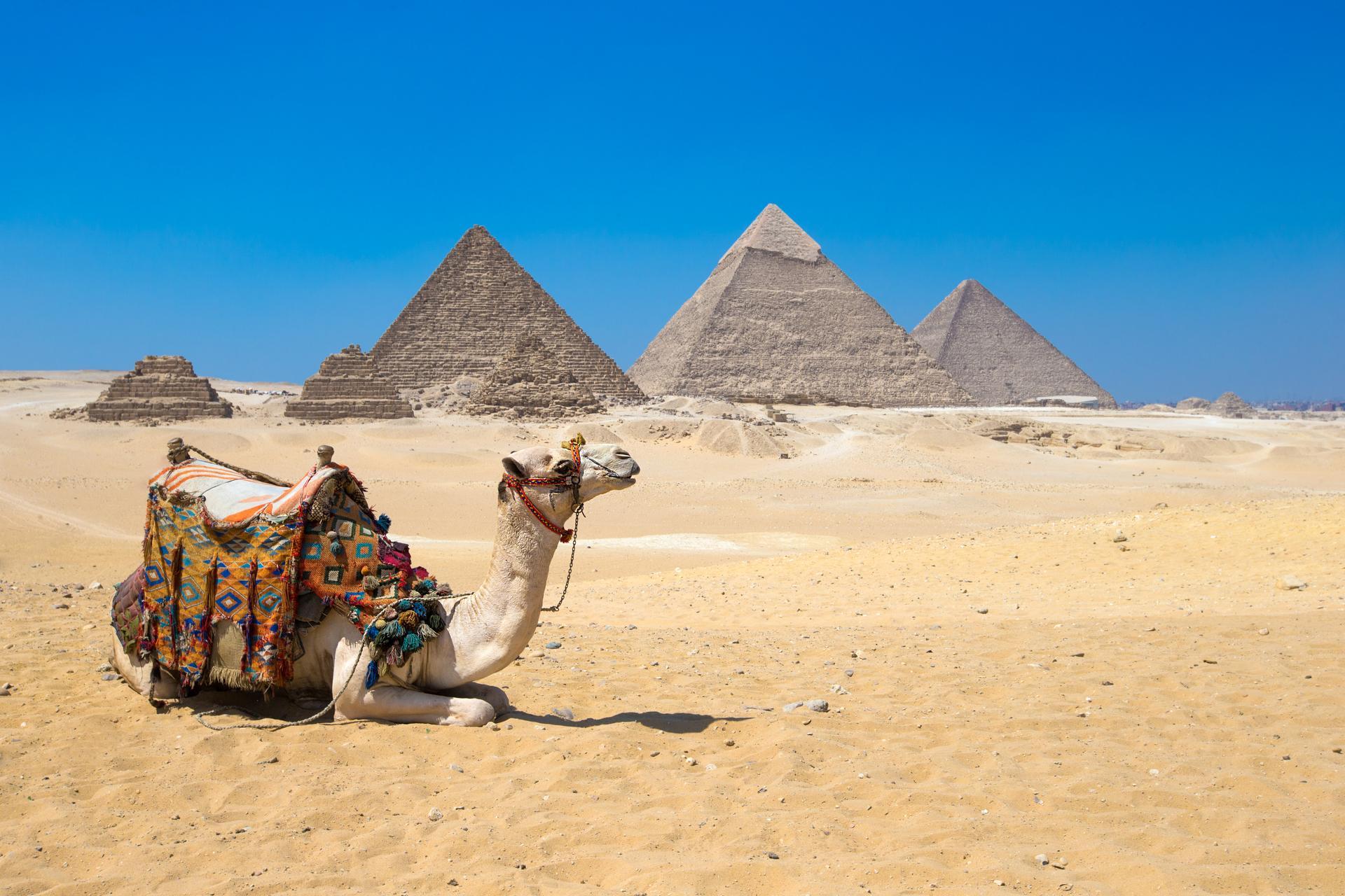 Day Tour from Sharm el Sheikh To Cairo by Bus